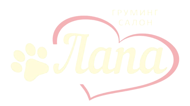 Груминг-салон Лапа